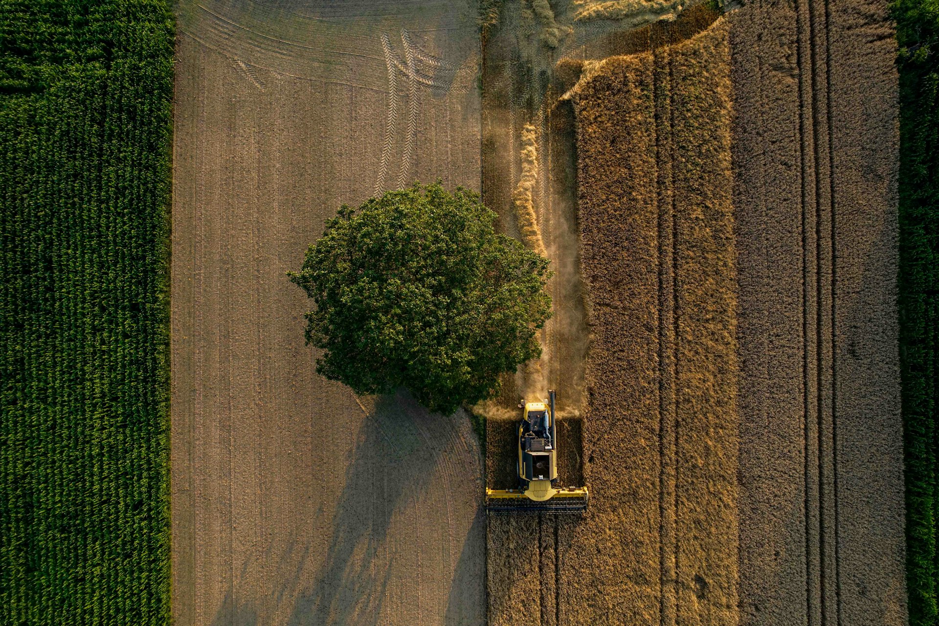 An aerial view of a tractor and a tree in a field