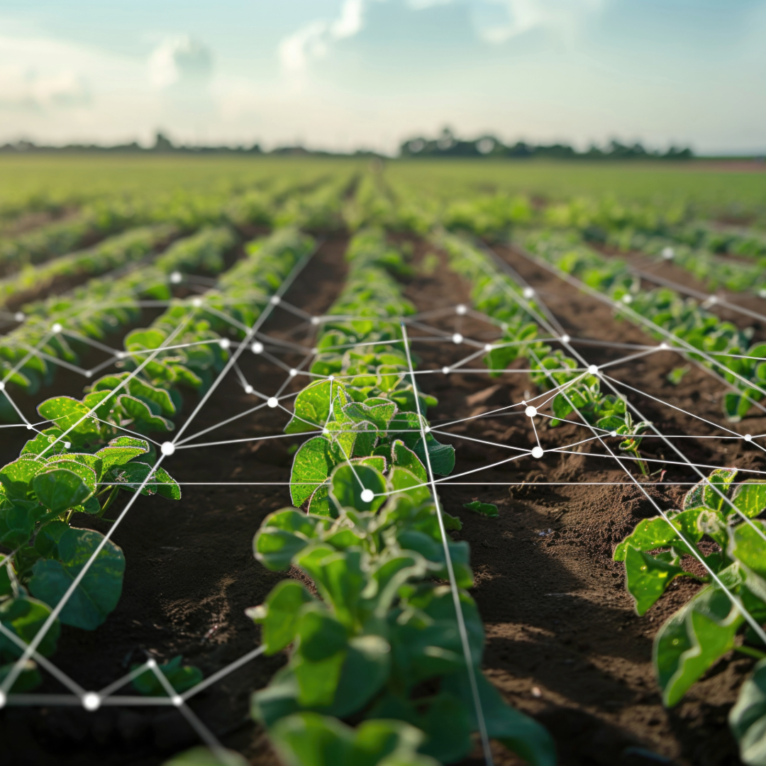 Precision Agriculture